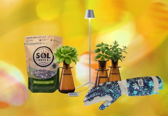 19 Best Gifts for Plant Lovers and Gardeners (2026)