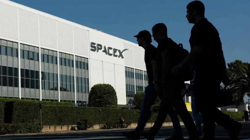 SpaceX bond sale signals markets are in ‘bubble territory’, warns Allianz CIO
