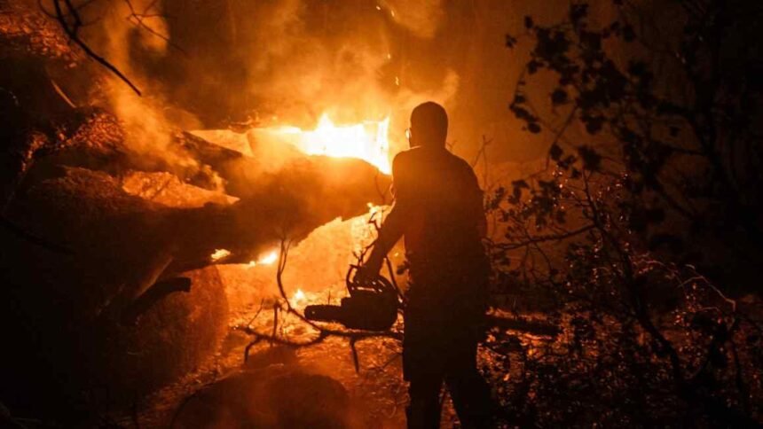 ‘Violent’ wildfires rage close to French and Spanish cities