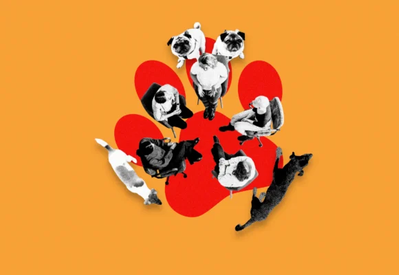 Welcome to Dogs Anonymous, the Online Support Group for People With Difficult Dogs